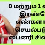 பைனரி சிஸ்டம்